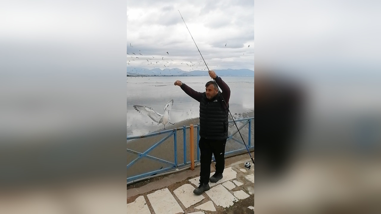 Balık Avında Sürpriz: Oltaya Martı Takıldı