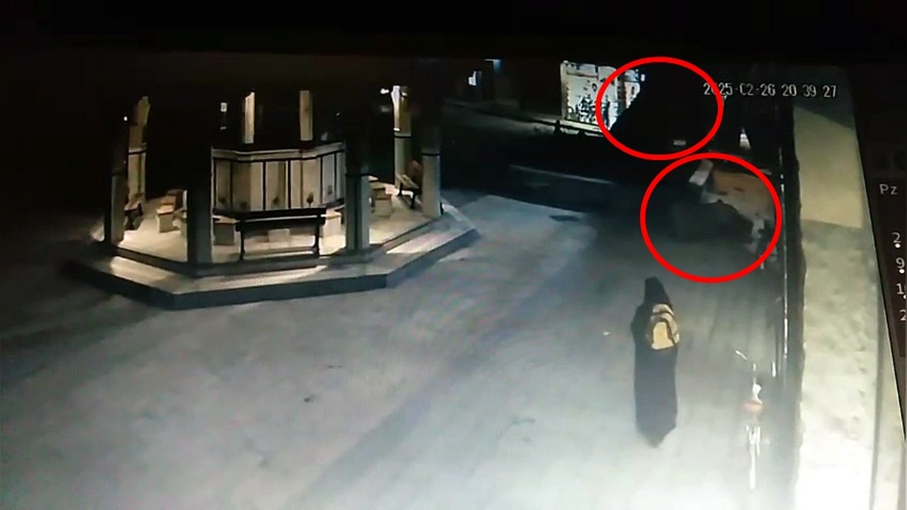 550 Yıllık Ağaç Tarihi Caminin Bahçesinde Devrildi