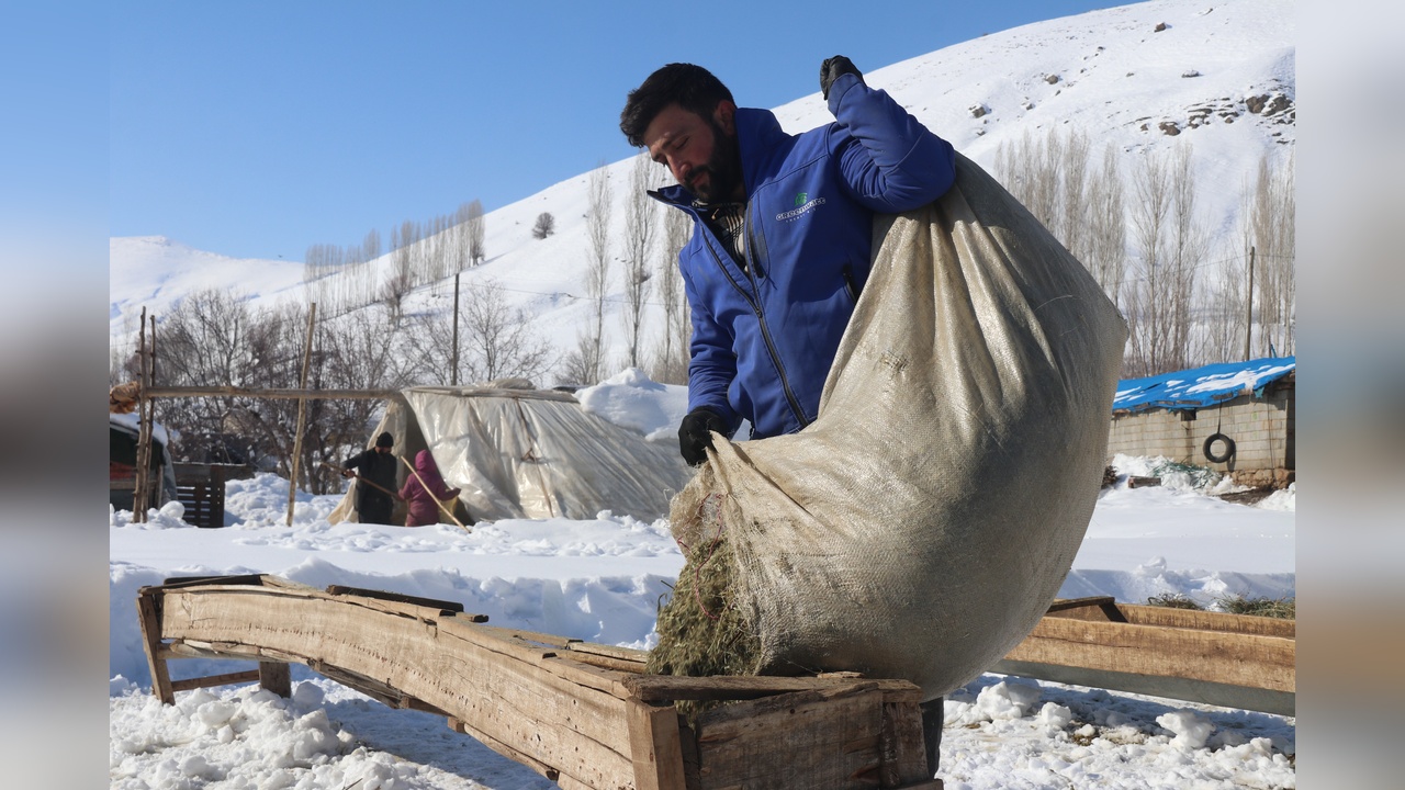 Bitlis'te Kış Koşullarında Besicilik Mücadelesi