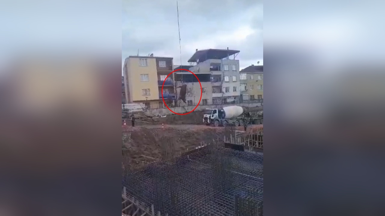 Vinçle Kesim Alanına Taşınan Boğa Olayı
