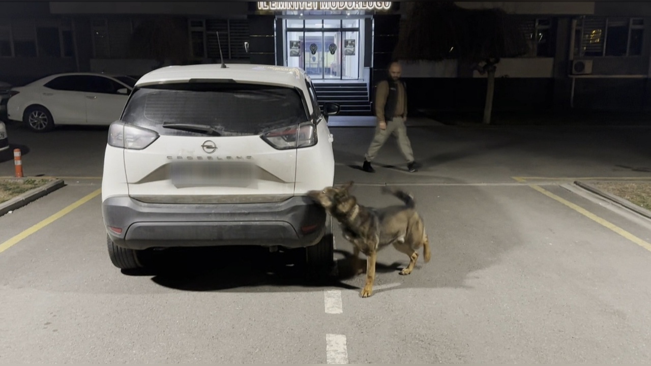 Uyuşturucu Operasyonunda Köpek 'Mailo' Başarı Gösterdi