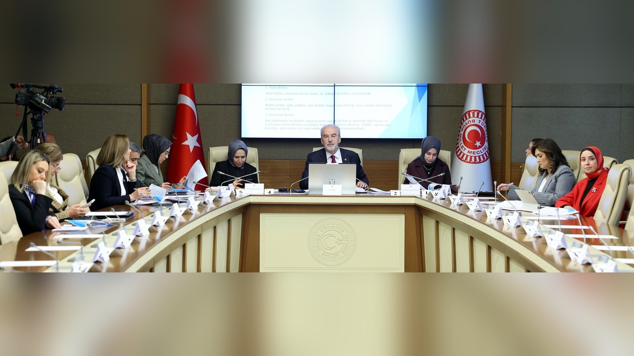 İstanbul, Ev İçi Şiddet Çağrılarına Göre İlk Sırada