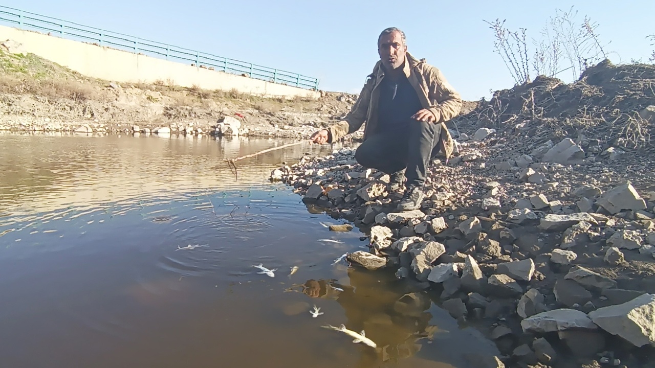 Karasu Çayı'ndaki Balık Ölümleri Üzerine İnceleme Başlatıldı