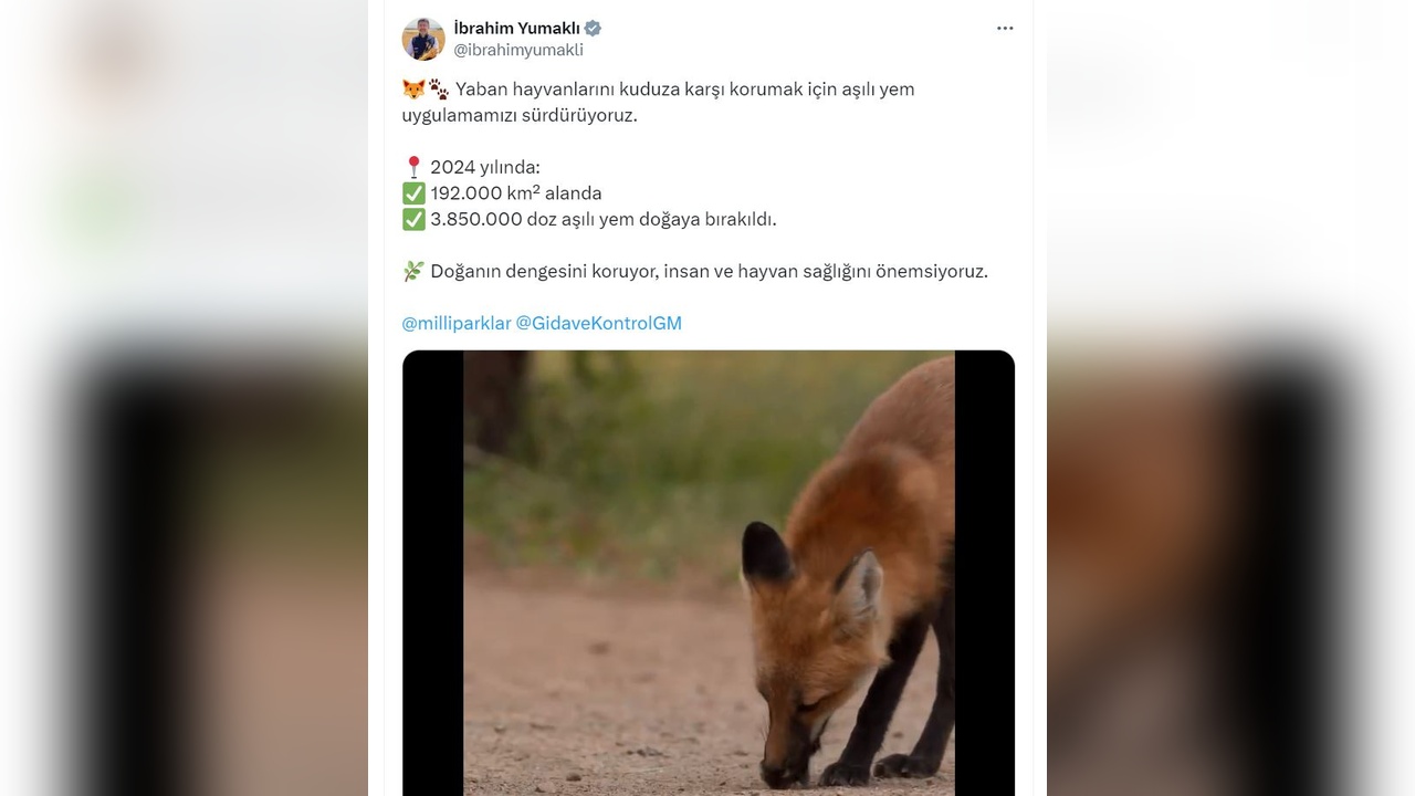 2024'te Doğaya Aşılı Yem Bırakıldı