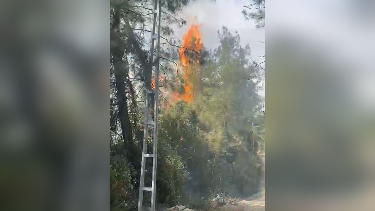 Kahramanmaraş'taki Orman Yangını Kontrol Altına Alındı