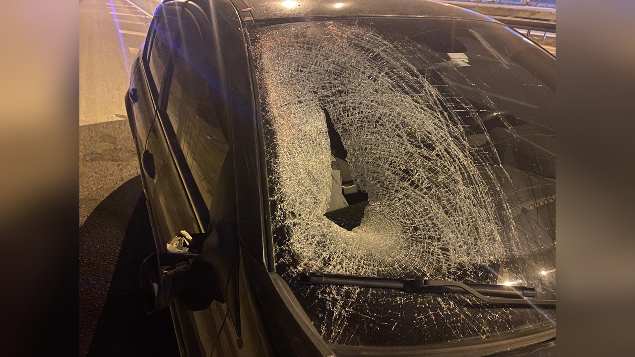 Ankara'da Yaya Ölümleri Devam Ediyor
