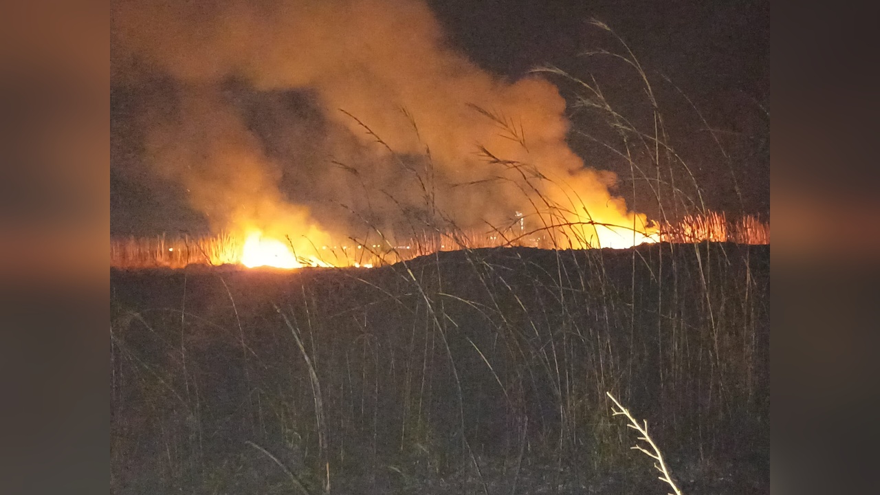 Hatay'da Sazlık Alanda Yangın Çıktı