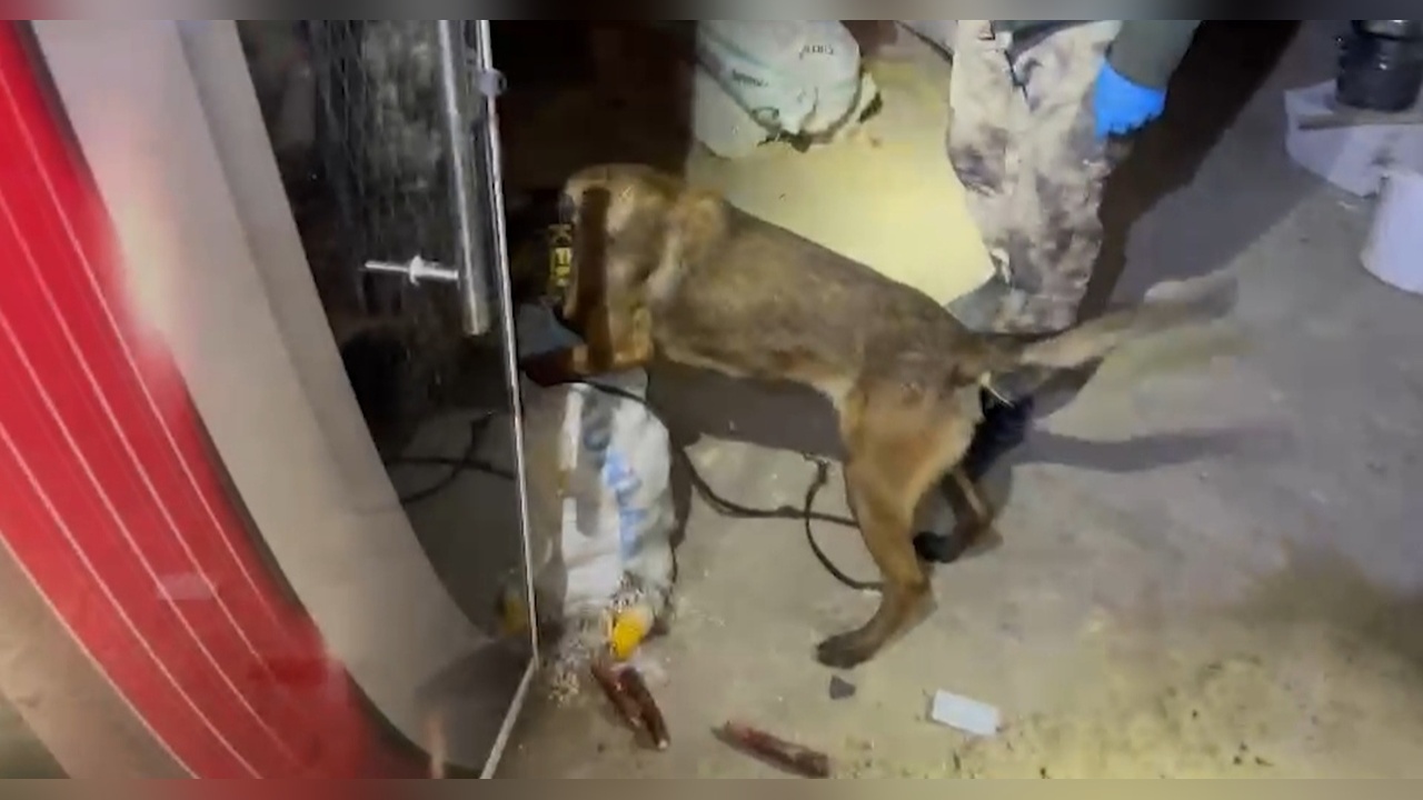 Batman'da Uyuşturucu Operasyonunda Köpek 'Hector' Görevde