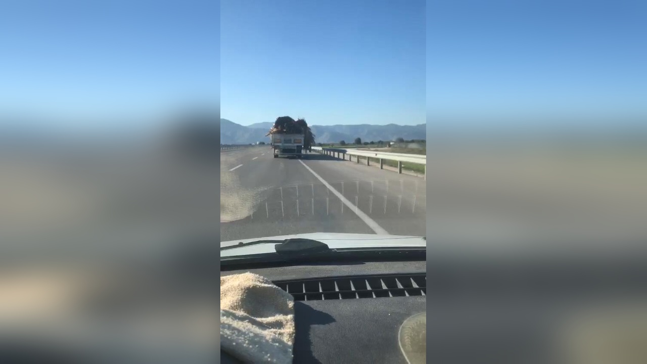 Yolda Tahta ve Tomruk Kazası: Şoför İlgisiz Kaldı