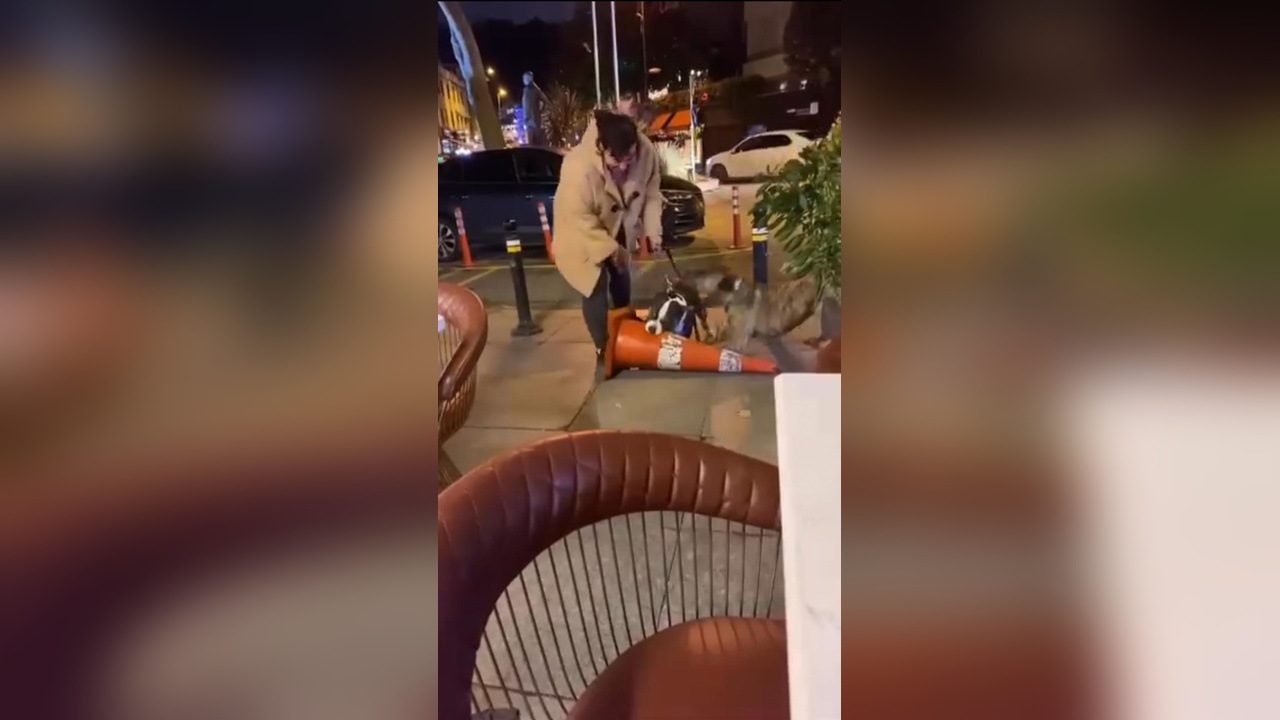 Bebek'te Ağızlıksız Pitbull Saldırısı: Sahibi 76 Bin Lira Ceza Aldı