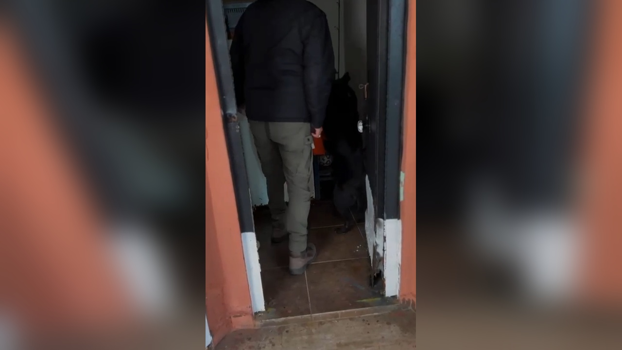 Yalova'da Uyuşturucu Operasyonu: 5 Kişi Tutuklandı