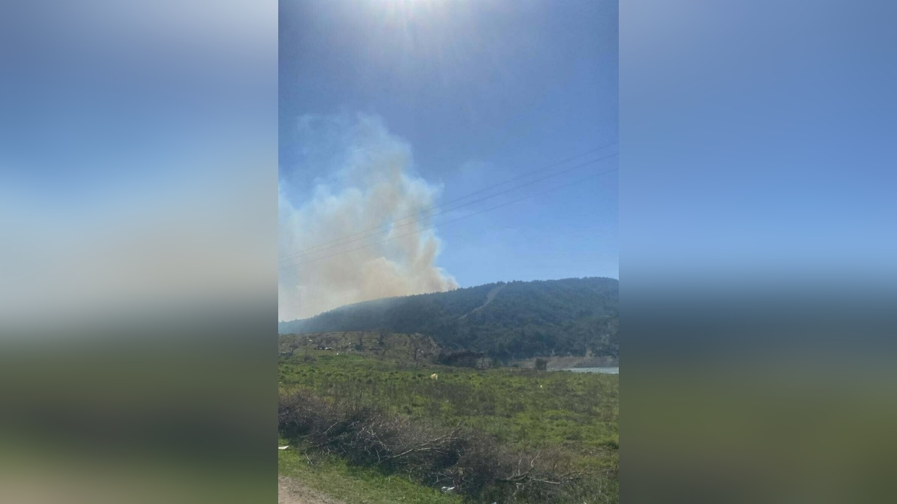 Çanakkale'de Orman Yangını Kontrol Altına Alındı