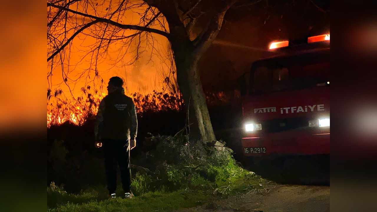 İznik Gölü Kıyısında Sazlık Yangını Çıktı