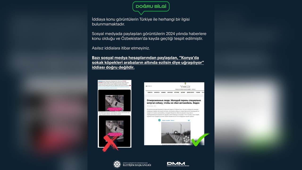 DMM, Sokak Köpekleri Hakkındaki İddiaları Yalanladı