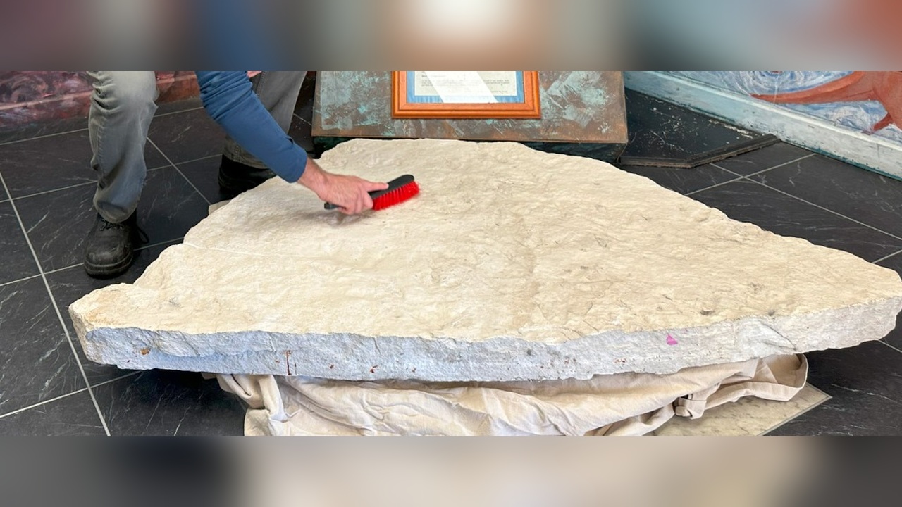 Avustralya'da Okul Bahçesinde 66 Dinozor Ayak İzi Bulundu