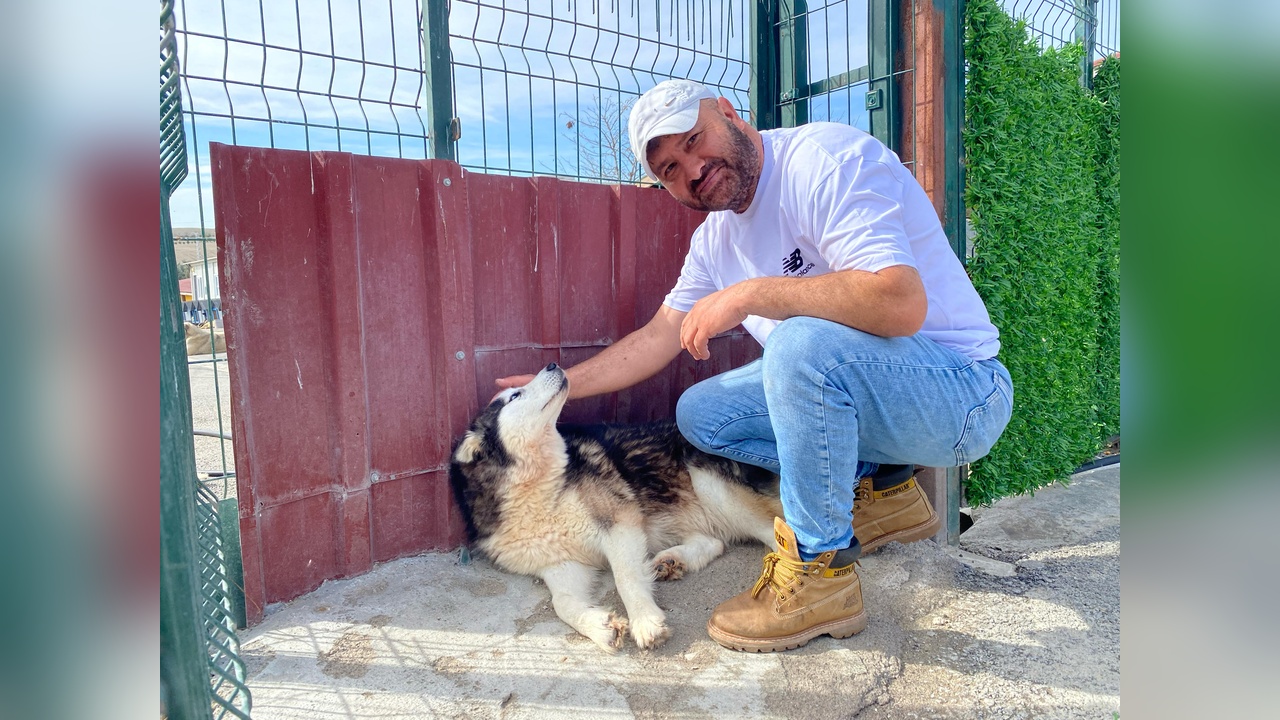 Hayvanseverin Köpekleri Yeni Sahiplerine Kavuştu