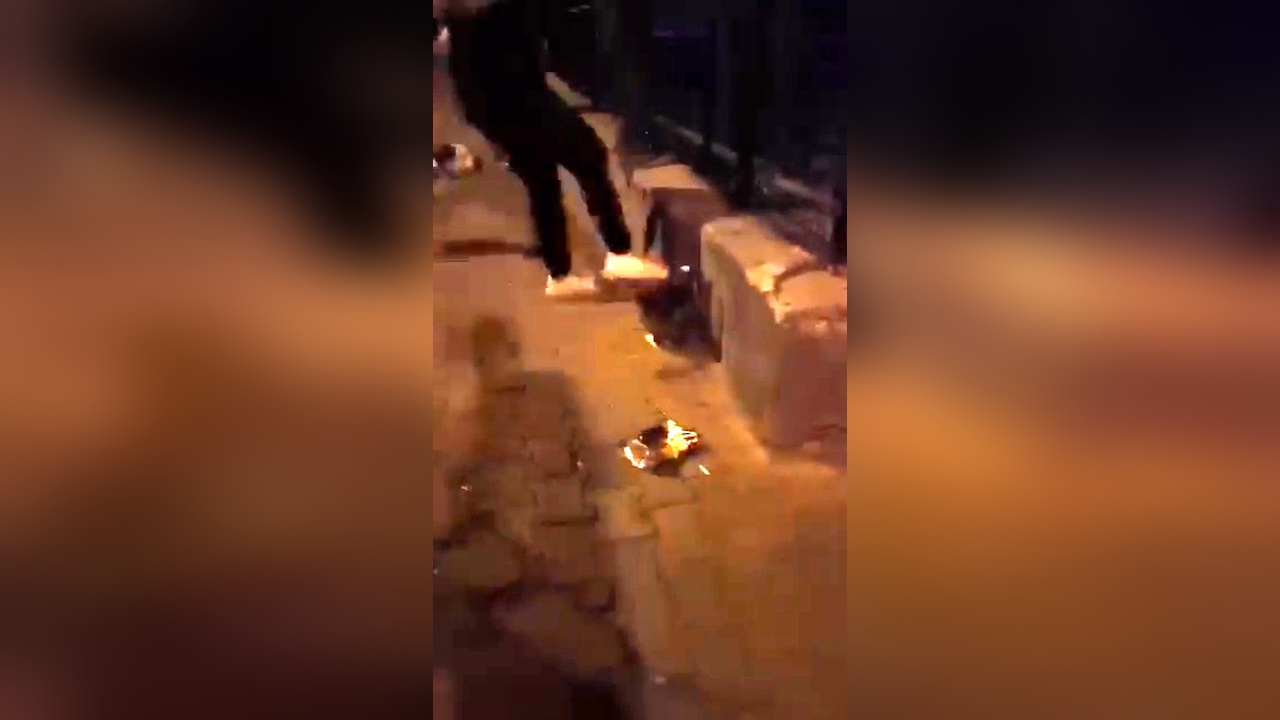 Sokak Kedisine Tekme Atan Şüpheli Gözaltına Alındı