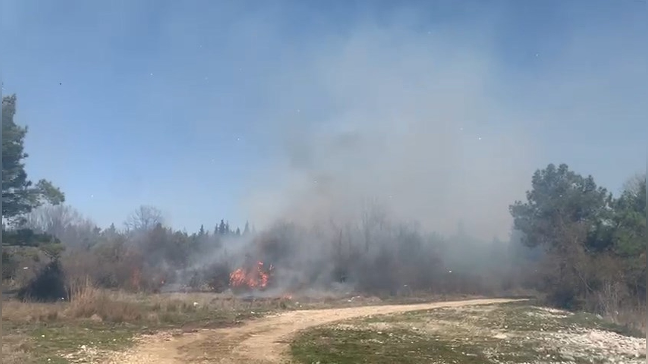 Tarım Arazisindeki Yangın Ormanlık Alana Sıçradı