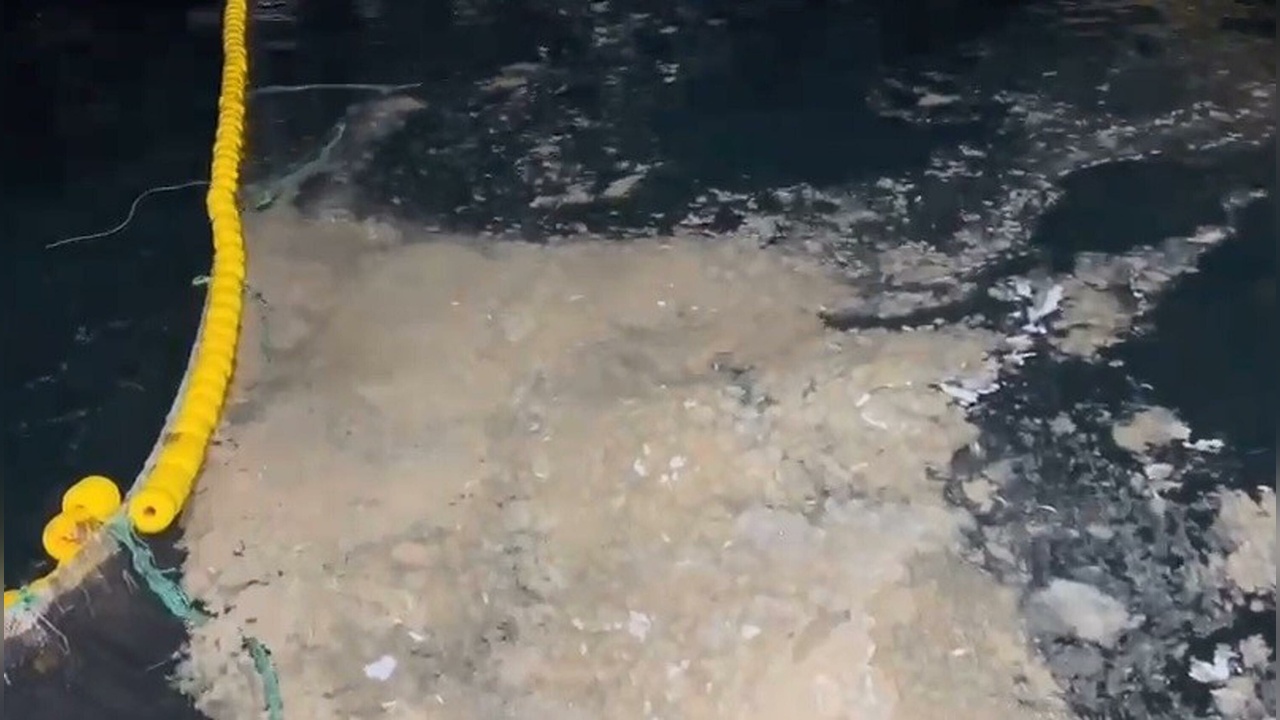 Çanakkale'de Müsilaj Nedeniyle Av Sezonu Erken Kapatıldı