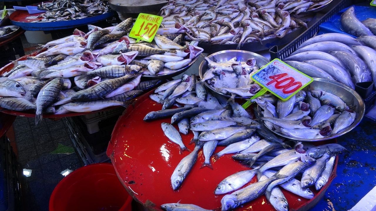 Rize'de Deniz Suyunun Isınması Balık Çeşitliliğini Etkilemiyor