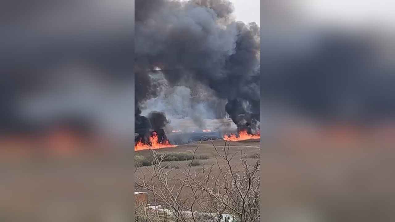 Sakarya'daki Yangın Kocaeli'ye Ulaştı: 12 Hektar Orman Yandı
