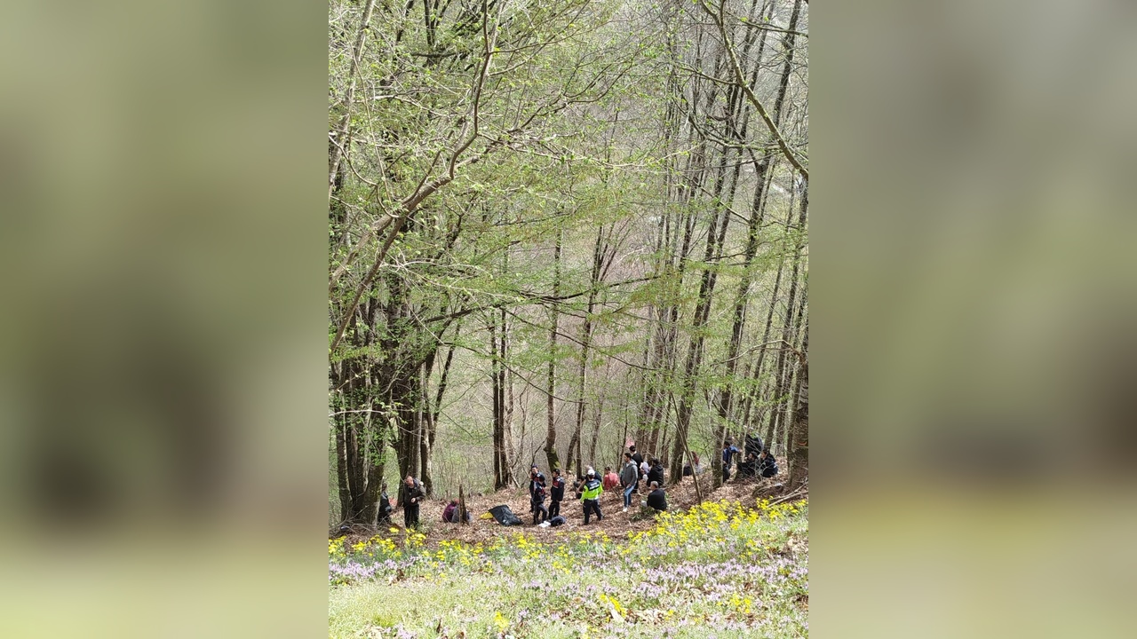 Sakarya'da Traktör Devrildi, Sürücü Hayatını Kaybetti