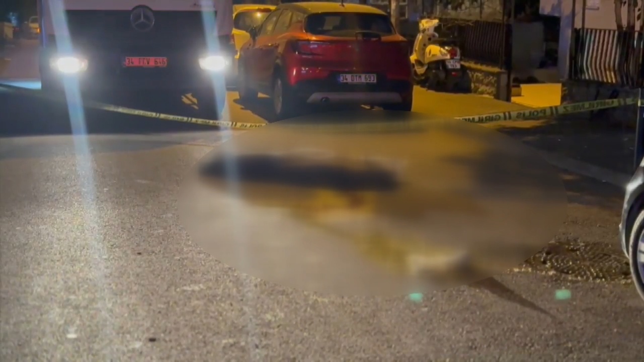 Kadıköy'de Çöp Kamyonu Emekli Öğretmeni Ezerek Hayatına Son Verdi