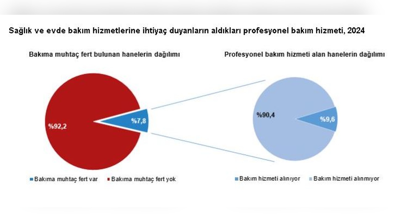 Hanehalklarının Yüzde 7,8'i Evde Bakım Hizmeti İhtiyacı İçinde