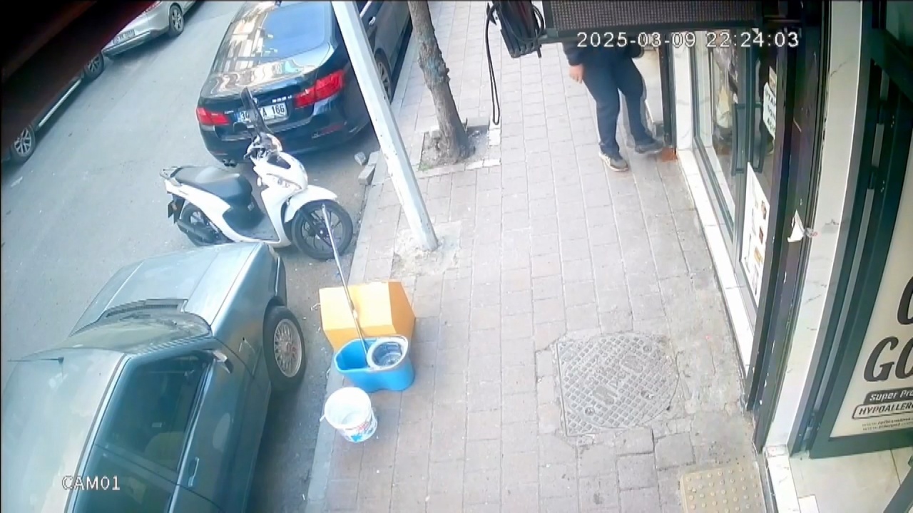 Fatih'te Sokak Kedilerine Konulan Mama Tekmelendi