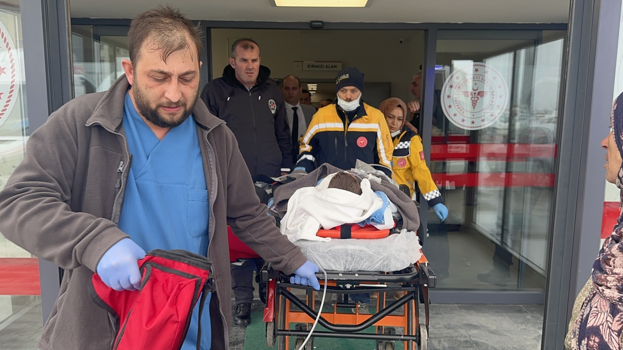 Sokak Köpeği Saldırısı: 6 Yaşındaki Çocuk Ağır Yaralandı