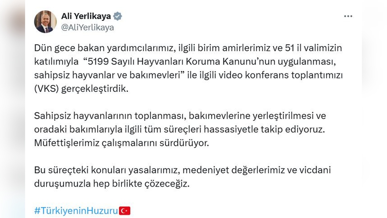 Bakan Yerlikaya, Sahipsiz Hayvanların Toplanma Süreçlerini İzliyor