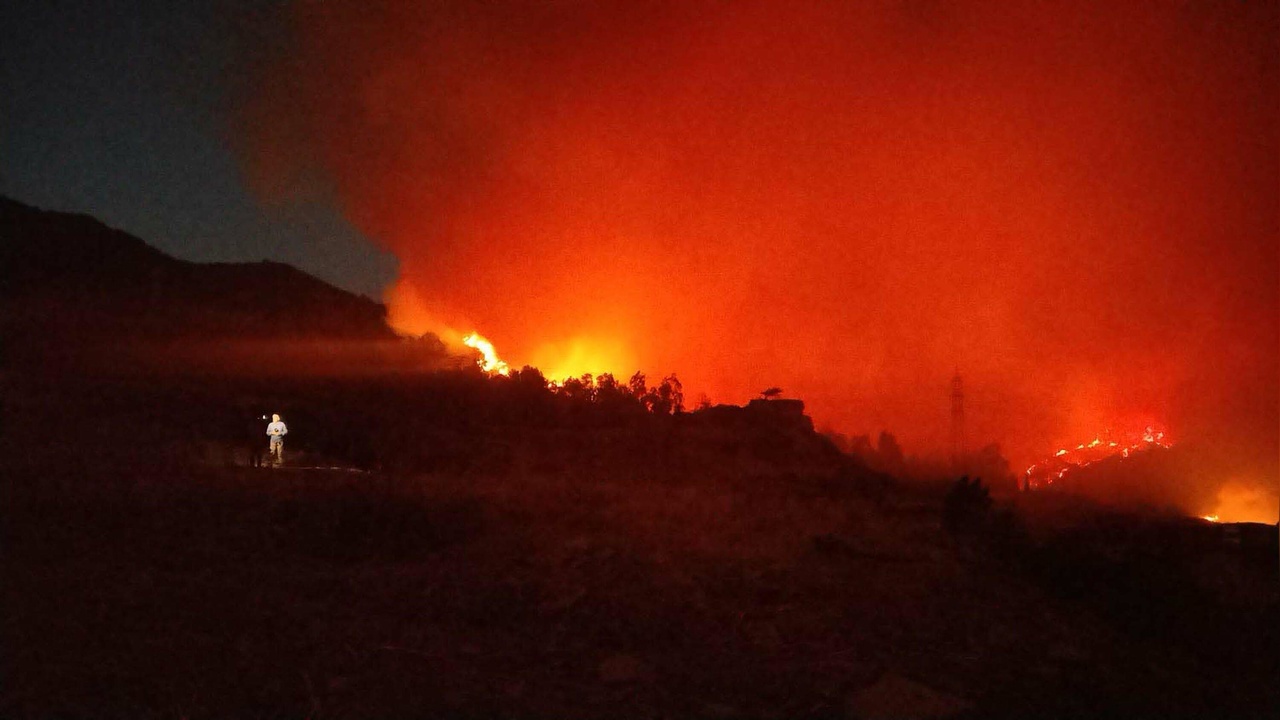 Karşıyaka Orman Yangını Davasında İki Kişi Tahliye Edildi
