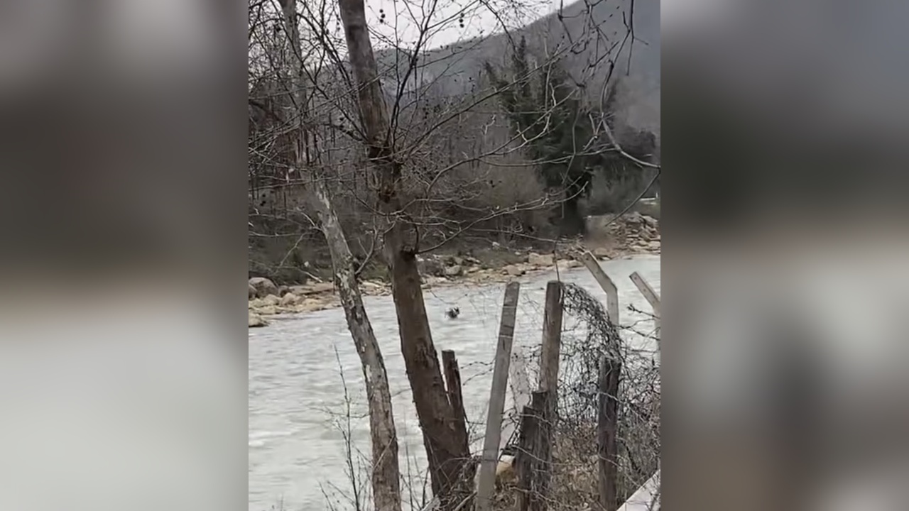 Akıntıya Kapılan Karaca, Kameralara Yansıdı