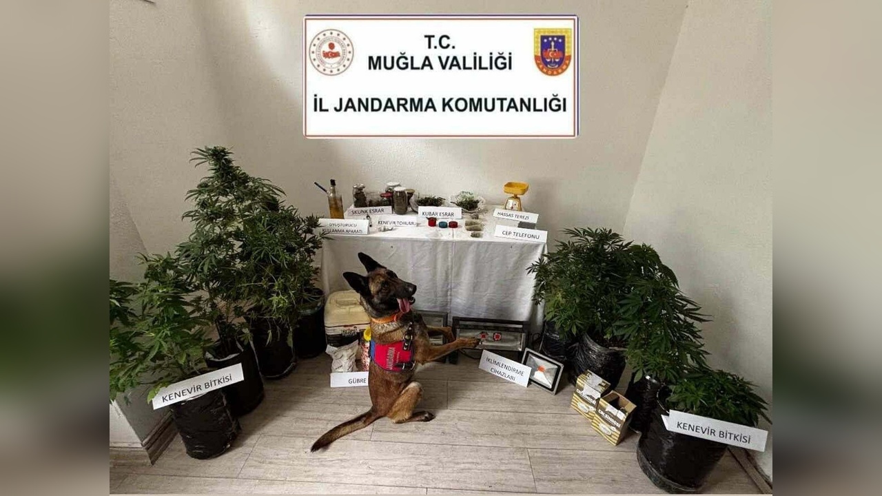 Uyuşturucu Operasyonu: Arya İsimli Köpek Başarıyla Görevini Yaptı