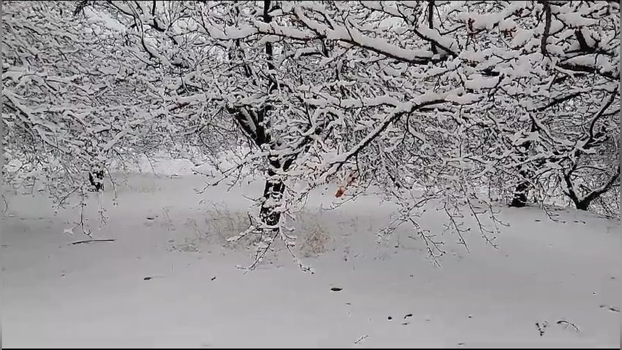 Elazığ'da Kar Yağışı Hayatı Olumsuz Etkiledi