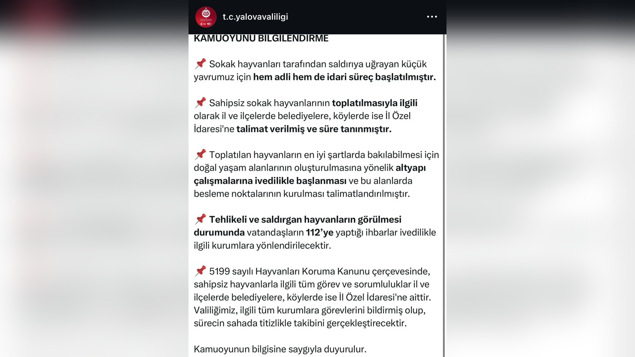 Yalova Valiliği, Sahipsiz Sokak Hayvanları İçin Toplama Çalışmalarını Duyurdu