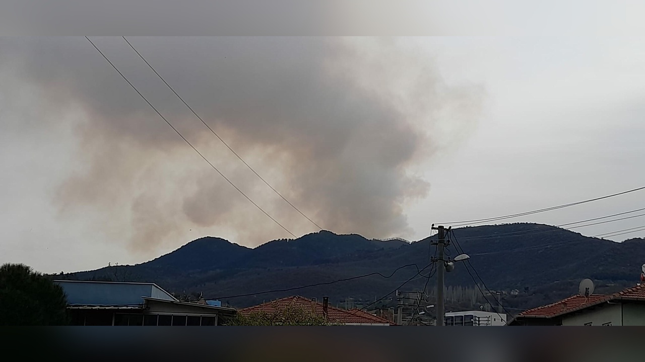 Balıkesir'de Orman Yangını Kontrol Altına Alındı