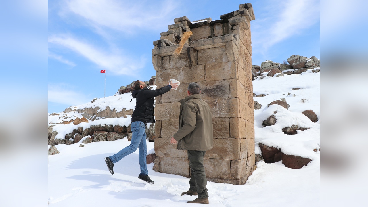 Kayseri'deki Güvercinliklerde Geleneksel Yemleme Geleneği Devam Ediyor