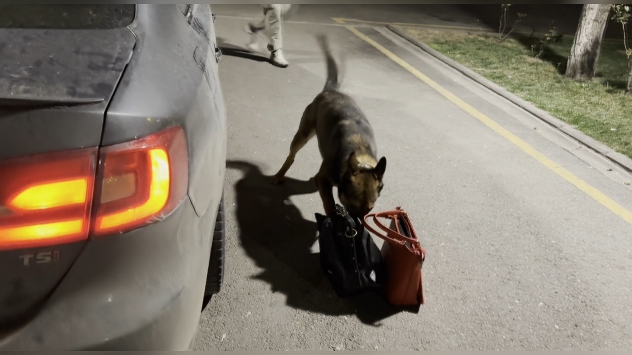 Uyuşturucu Maddeyi Bulan Köpek 'Mailo' Öne Çıktı