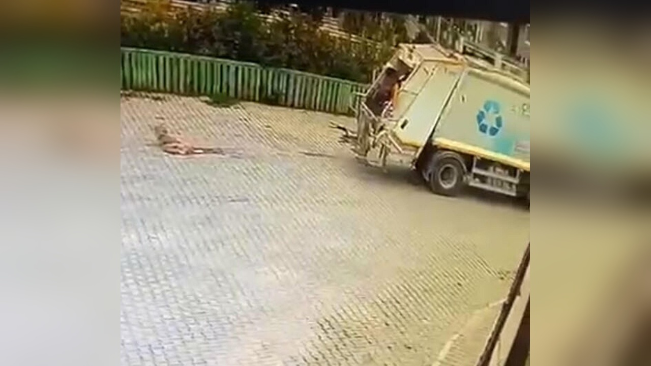 Sokakta Oturan Köpeği Ezerek Öldüren Çöp Kamyonu Olayı Kameralara Yansıdı
