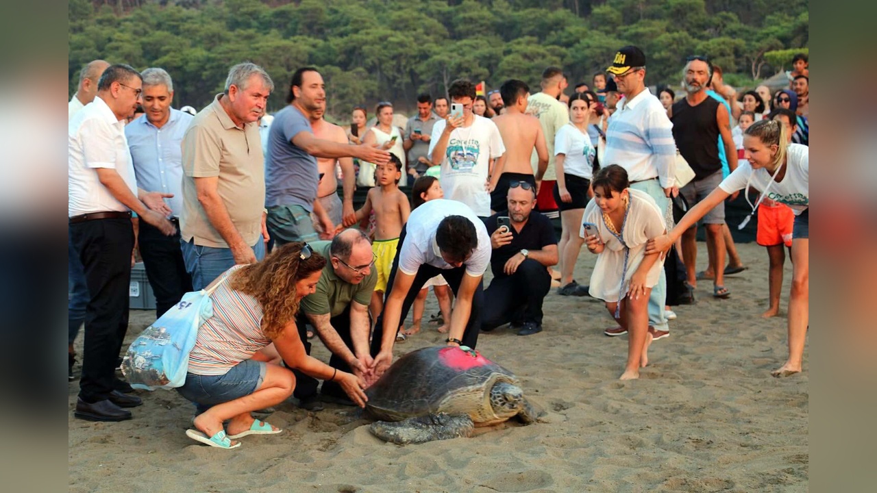 Bayram Öncesi Caretta Caretta Uyarısı: Tatilciler Dikkat!