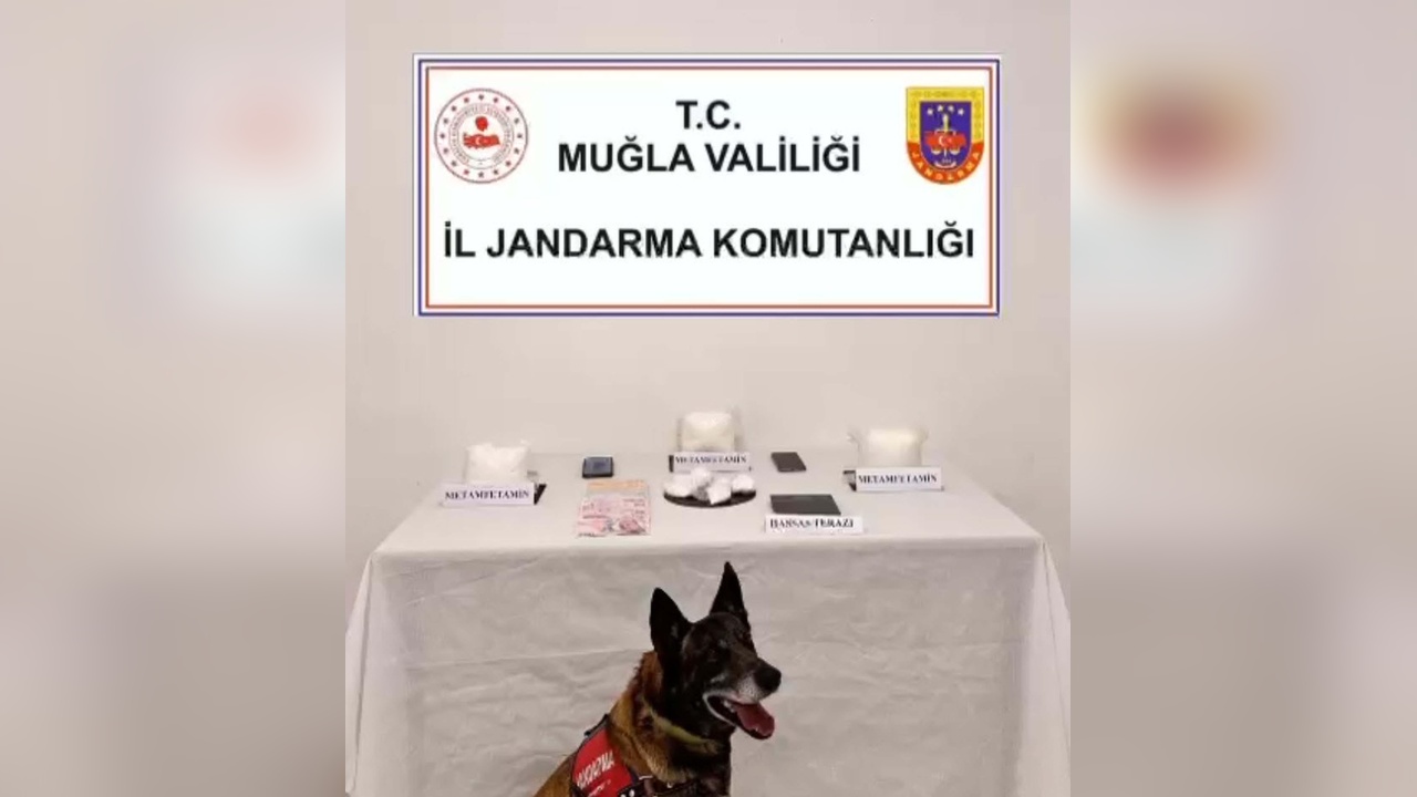 Muğla'da Uyuşturucu Operasyonu: Bir Kişi Tutuklandı