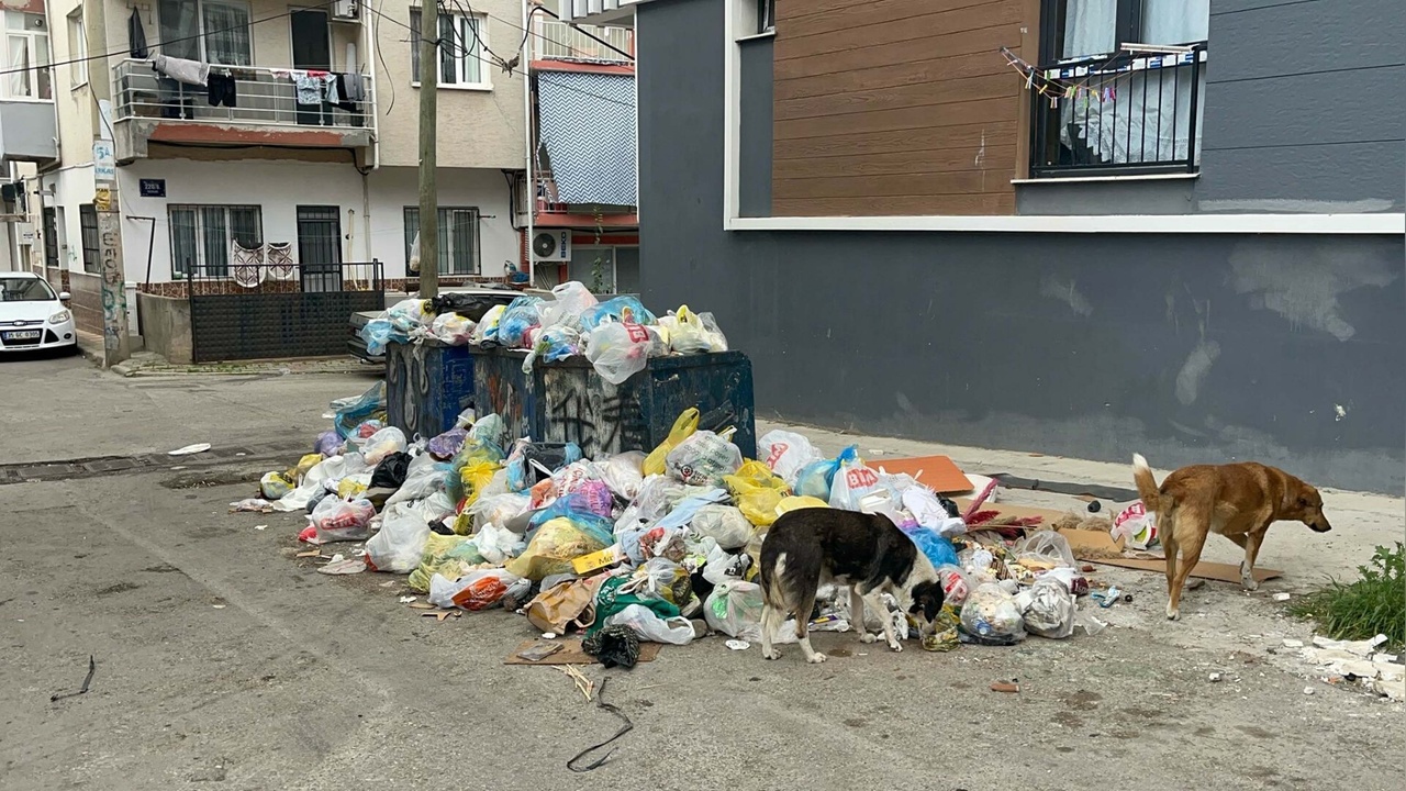 Buca'da Grev Nedeniyle Sokaklar Çöple Dolduruldu