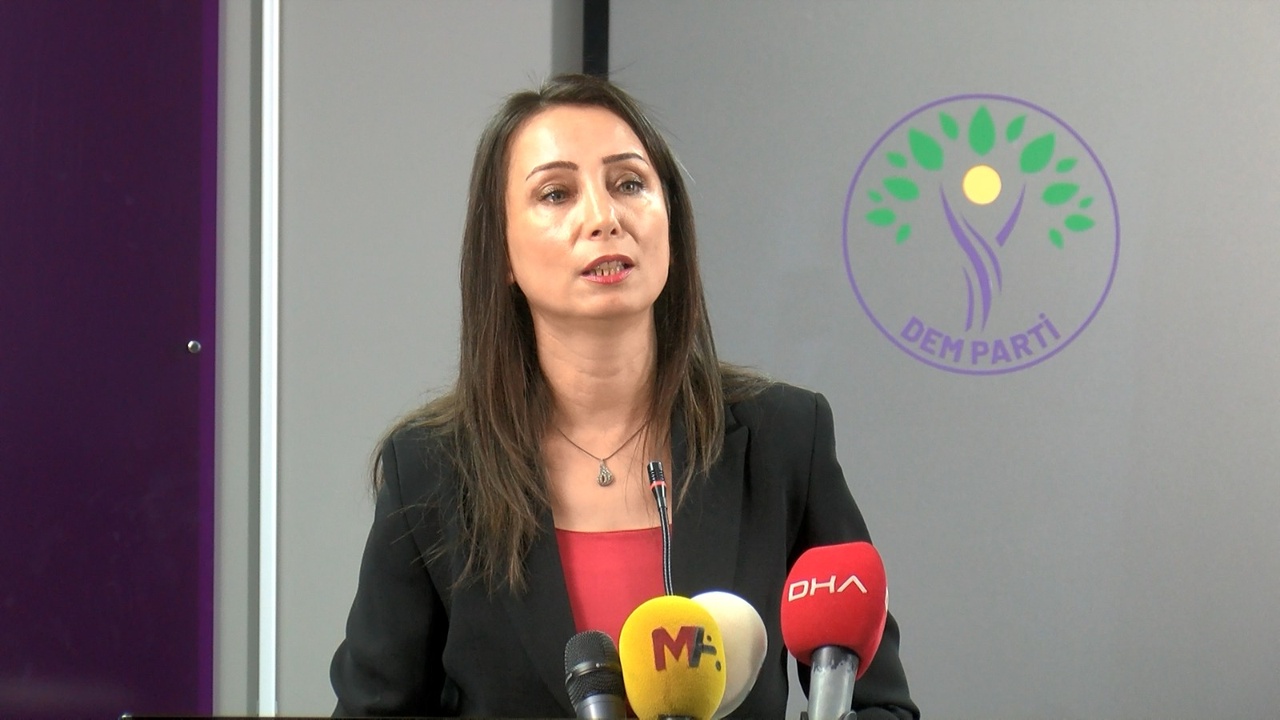 Hatimoğulları, Demokratikleşme Paketi Üzerine Çalışma Talep Etti