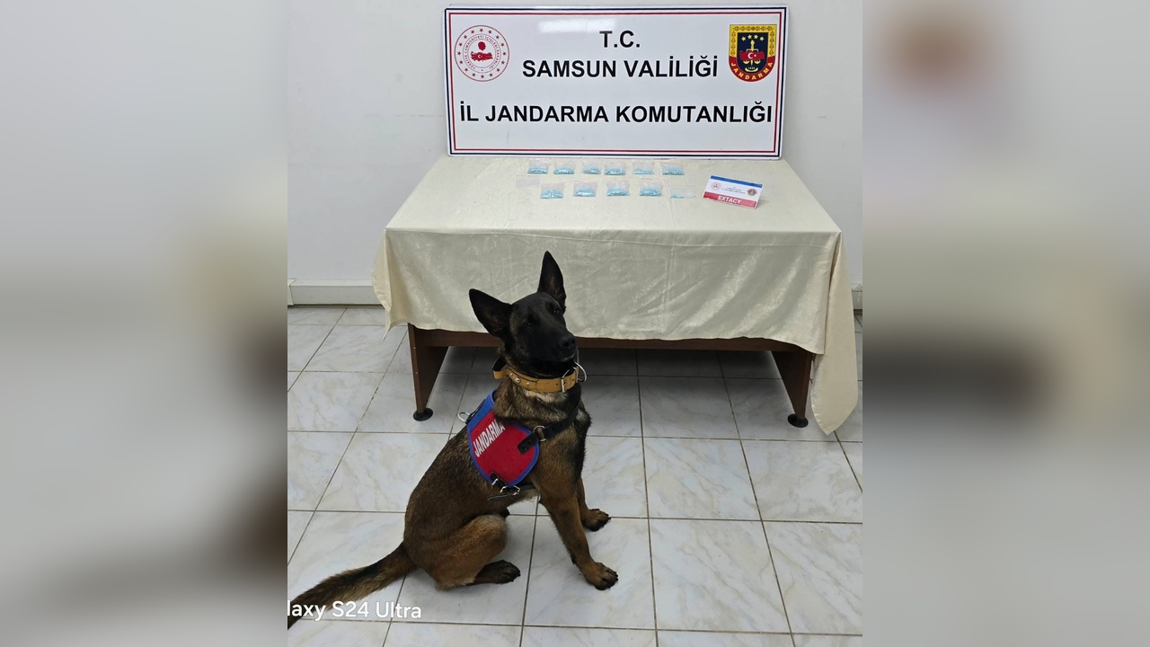 Uyuşturucu Operasyonu: İki Şüpheli Gözaltına Alındı