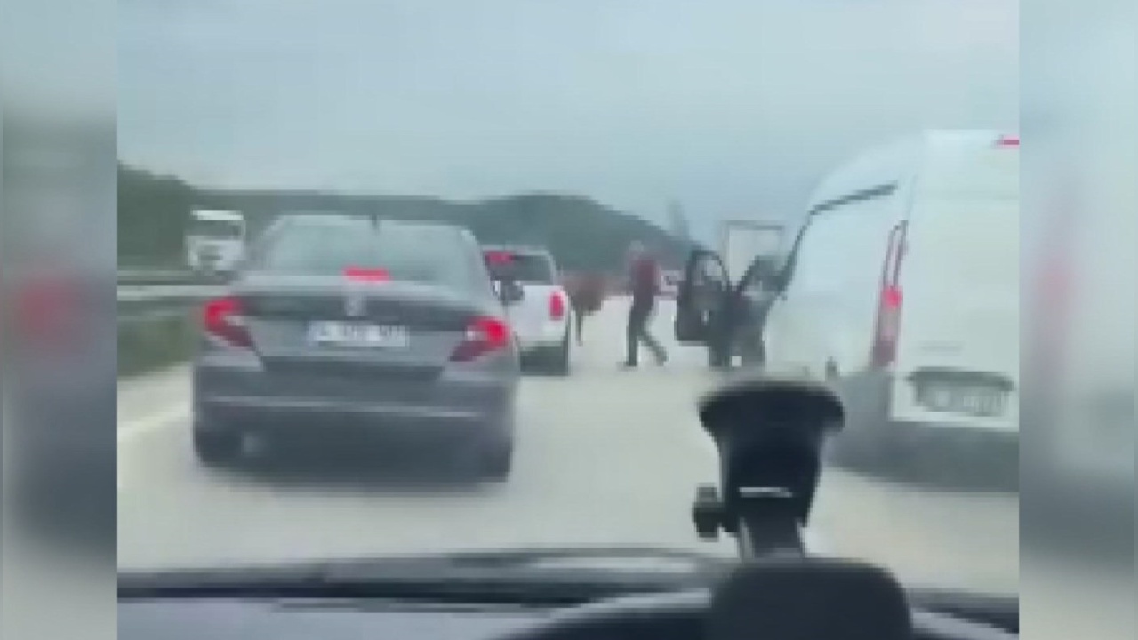 Otobanda Boğa Krizi: Sürücüler Zor Anlar Yaşadı