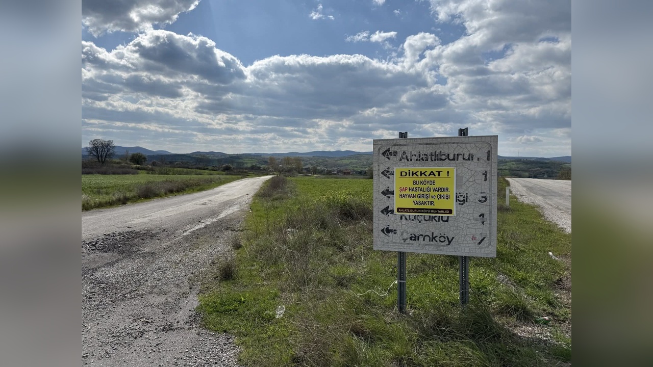 Çanakkale'de Yeni Hayvan Giriş Çıkış Yasağı Uygulandı