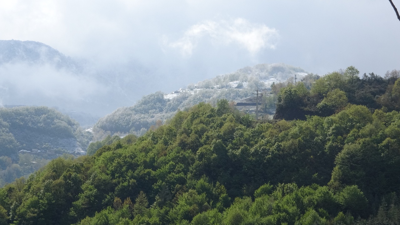 Kocaeli'de Mevsimler Arası Dengesizlik Gözlemleniyor