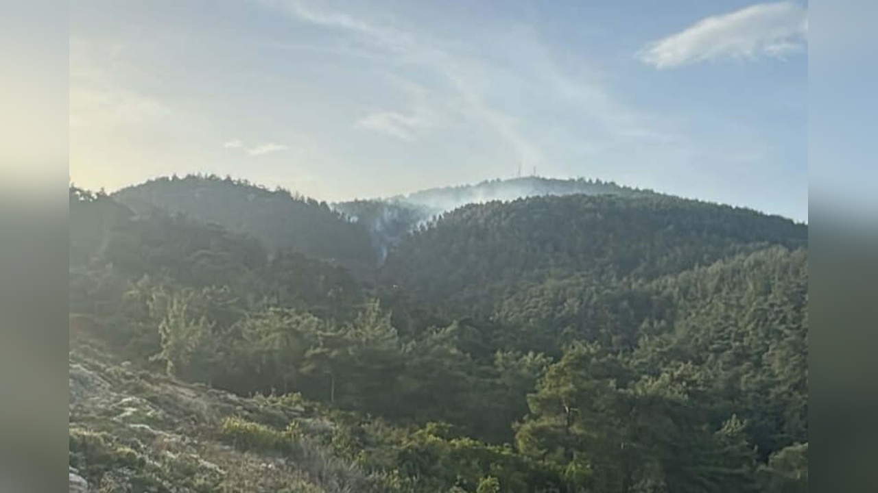 Muğla Ormanlarına Giriş 1 Mayıs'tan İtibaren Yasaklandı