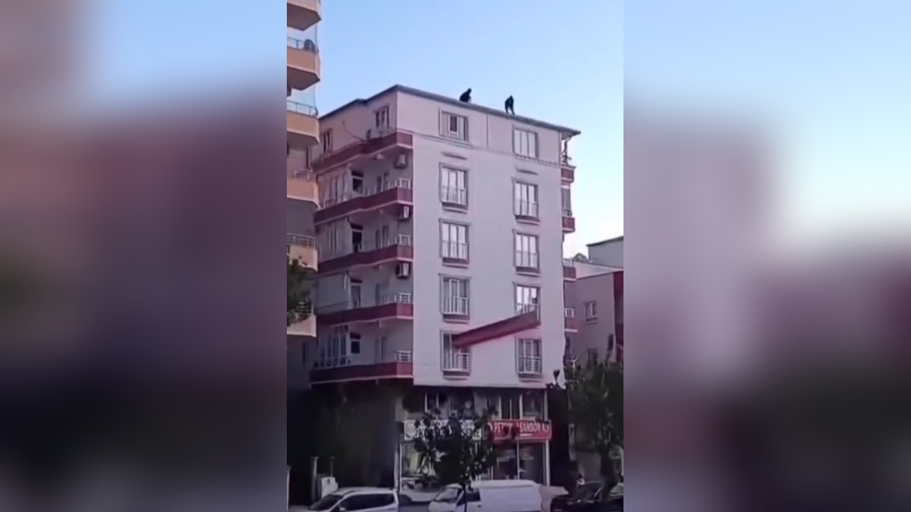 Güvenlik Önlemleri Yok, Çatıdan Metal Profil İndirildi
